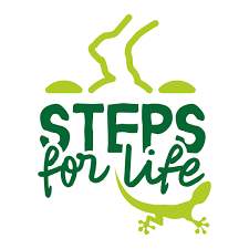 Ciencia en el Camino. Steps for Life Ciencia en el Camino. Steps for Life