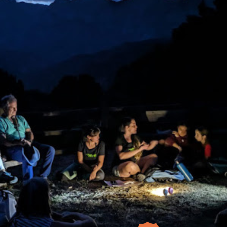 Paseo nocturno de observación de murciélagos Paseo nocturno de observación de murciélagos