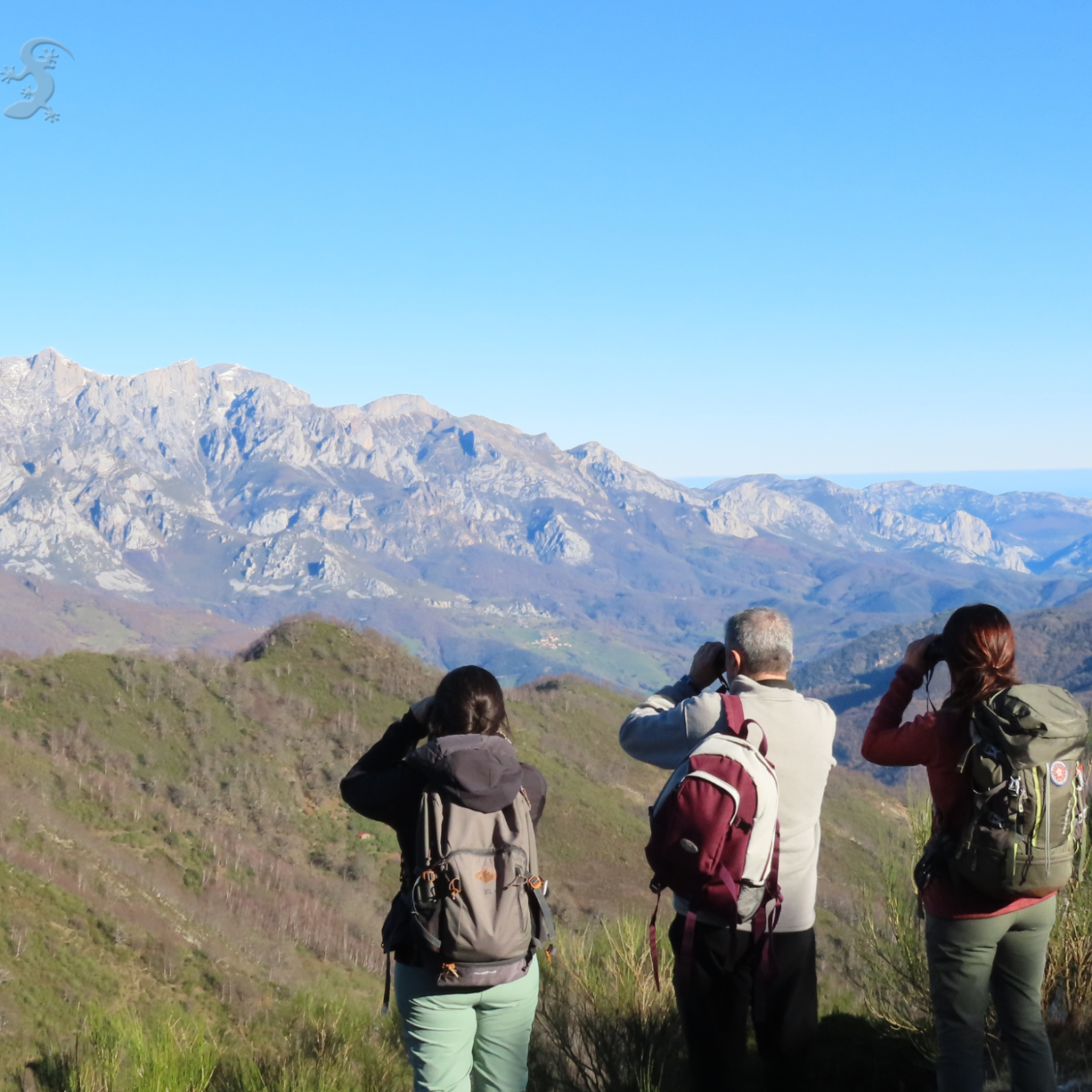 Ecoturistas observando la naturaleza con prismáticos Ecoturistas observando la naturaleza con prismáticos