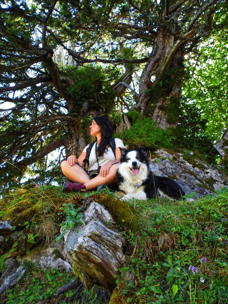 Entre bosque y arcilla. Descansando con nuestra mascota bajo la sombra de un tejo Entre bosque y arcilla. Descansando con nuestra mascota bajo la sombra de un tejo